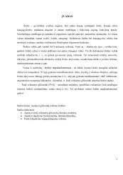 www.speros.lt